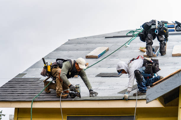 Professional Gutter Installation technician working in Marion, AL